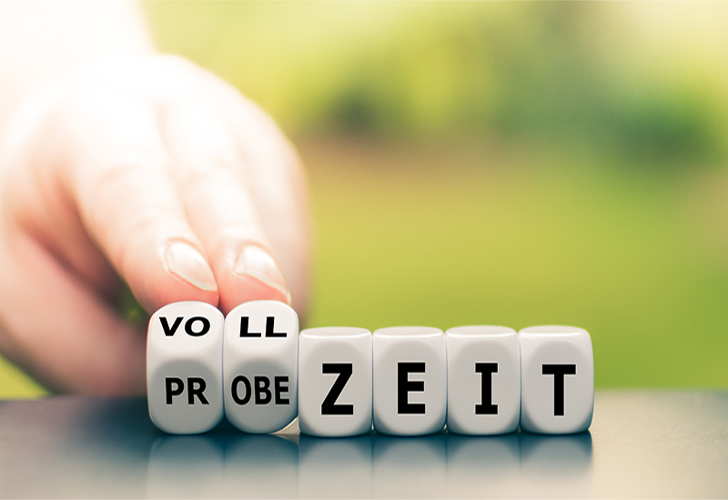 Beamten Beratung online Bild Vollzeit Probezeit